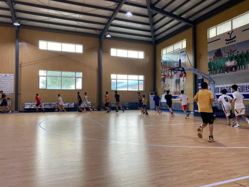 2020年度丰台区青少年各项目运动队暑期集训工作圆满完成