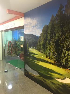 北京Easygolf工作室,订制私人高尔夫训练方案