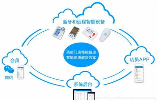 健康管理系统案例 App、小程序与网站的多维布局与实践